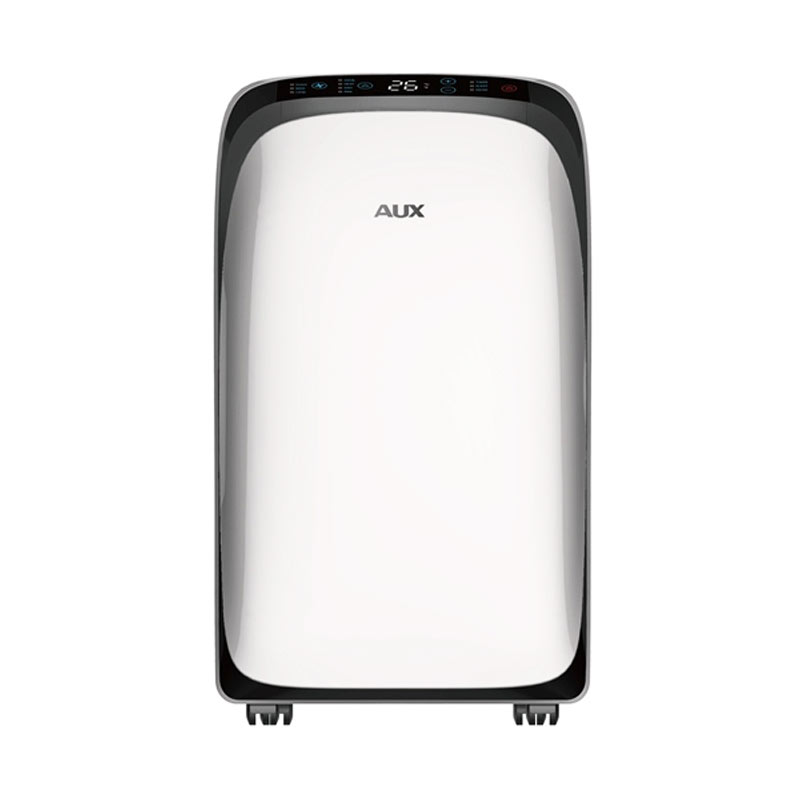 AC AUX Portable AM 09A4 LR1